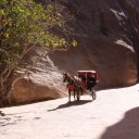 Horse-drawn-carriage-making-its-way-down-to-the-Treasury-at-Petra