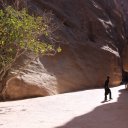 Cradled-in-the-Siq39s-light-it-filters-down-between-the-canyon-walls