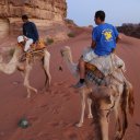 wadi-rum-camels-1