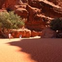 Sand-and-sandstone-the-terrain-of-Wadi-Rum