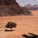 Wadi-Rum-solitary-tree-solitary-car-and-camels