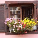 Pretty flowers in window sill, Vianden
