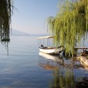 Weeping willows along the shores of beautiful Lake Ohrid