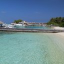 baros-island-maldives-marine-life-3