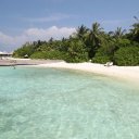 baros-island-maldives-marine-life-6