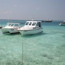 baros-island-maldives-marine-life-7