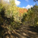 Santa-Fe-Fall-Colors