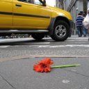 Flower-Pavement-Taxi-Broadway-Ave