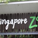 Singapore-Zoo-sign