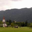 Bohinj Countryside