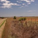 Dirt Road - Freestate