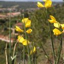 spain-barcelona-montserrat-10