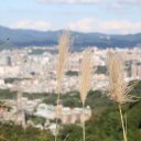 taipei-taiwan-21