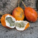 granadilla-passion-fruit