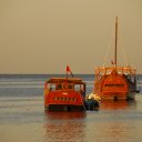 Two dhows rest in the calm waters of a post monsoon Indian Ocean