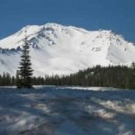 Snowy-Shasta