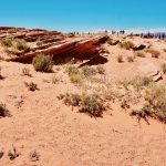 grand canyon tour for mandarin speakers