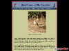 Gambia Bird Guide
