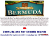 Bermuda Online