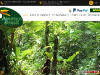 Amazon Brazil Jungle Tours