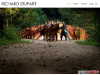 Richard Stupart