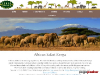 African Travel & Safaris