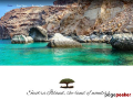 Al-Hamed Tourism Socotra