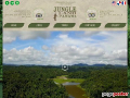 Jungle and Panama