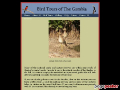 Gambia Bird Guide