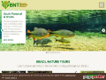 Brazil Nature Tours