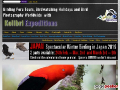 Kolibri Expeditions