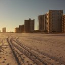 Along Gulf Shores