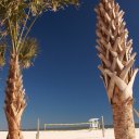 Drenched in sunshine along the white sand beach of Gulf Shores