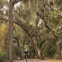 Peaceful path