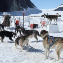 Alaska-Inside-Passage-Juneau-Sitka-Glacier-25