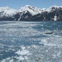 Alaska-Inside-Passage-Juneau-Sitka-Glacier-61