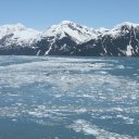 Alaska-Inside-Passage-Juneau-Sitka-Glacier-62