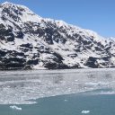 Alaska-Inside-Passage-Juneau-Sitka-Glacier-66