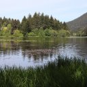 Alaska-Inside-Passage-Juneau-Sitka-Glacier-79