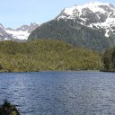 Alaska-Inside-Passage-Juneau-Sitka-Glacier-85