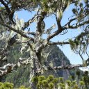 Alaska-Inside-Passage-Juneau-Sitka-Glacier-89