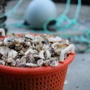 Hump-Island-Oyster-Company-12