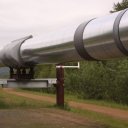 One section of the 800+ mile Alaskan pipeline