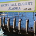 waterfall-resort-alaska-31