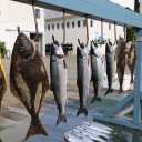 waterfall-resort-alaska-6