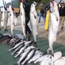 waterfall-resort-alaska-fishing-4