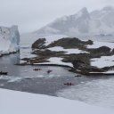 antarctica-oceanwide-expeditions-113