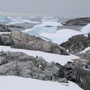 antarctica-oceanwide-expeditions-130