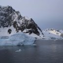 antarctica-oceanwide-expeditions-138