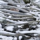 antarctica-oceanwide-expeditions-158